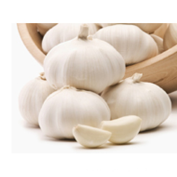 2016 China 5.0cm Fresh Garlic